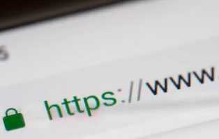 A modern search bar.
